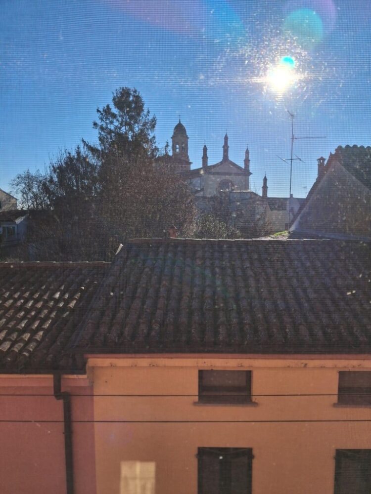 f8835e1a b322 47a6 9a7d 3aef437b9b26 1771862286 gallery 750x1000