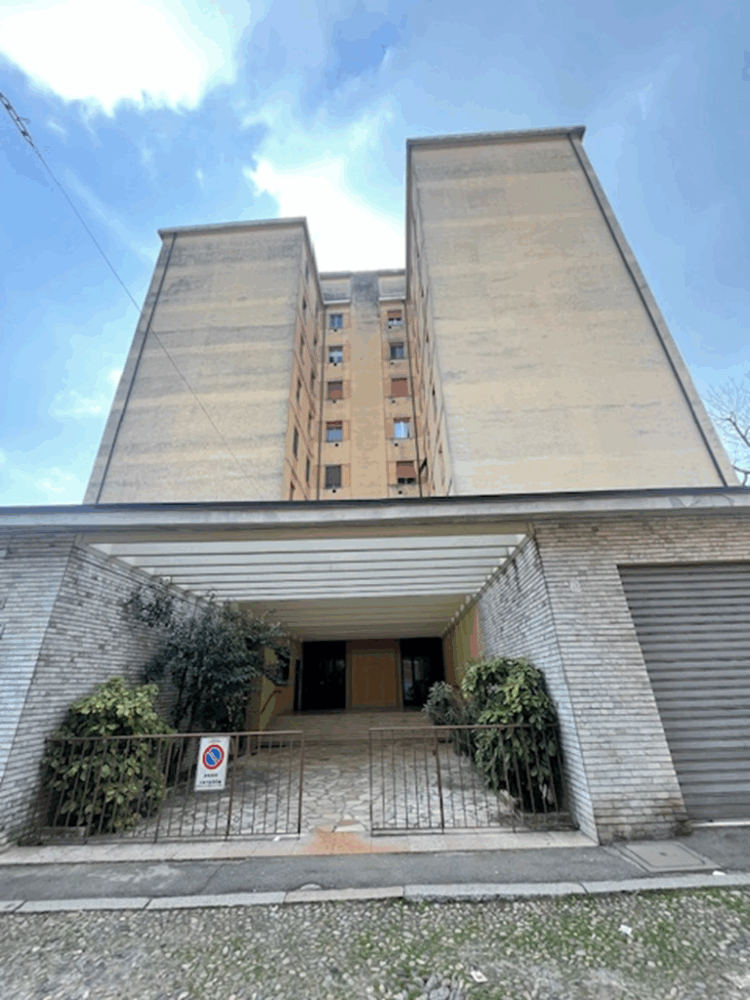 1 1772641484 gallery 750x1000