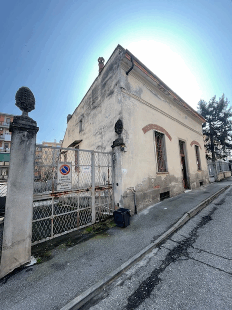 1 1773415652 gallery 750x1000