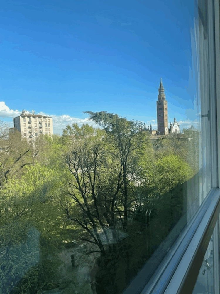 1 1774886425 gallery 750x1000