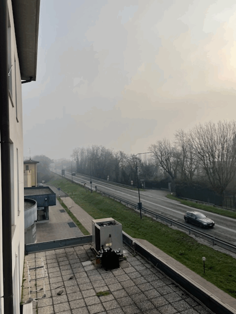 11 1773736976 gallery 750x1000