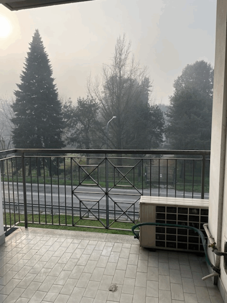 12 1773736976 gallery 750x1000