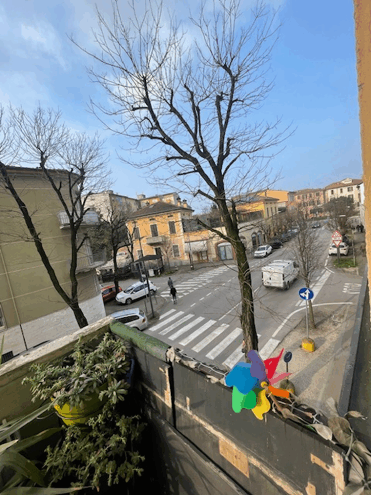 13 1772697931 gallery 750x1000