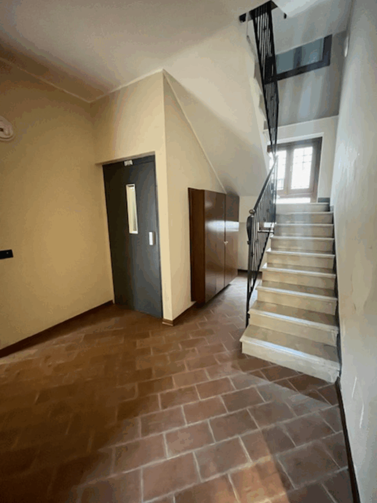 4 1772528010 gallery 750x1000