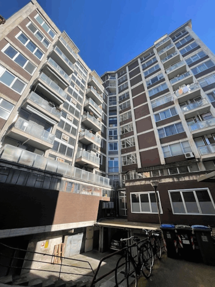 7 1774886565 gallery 750x1000