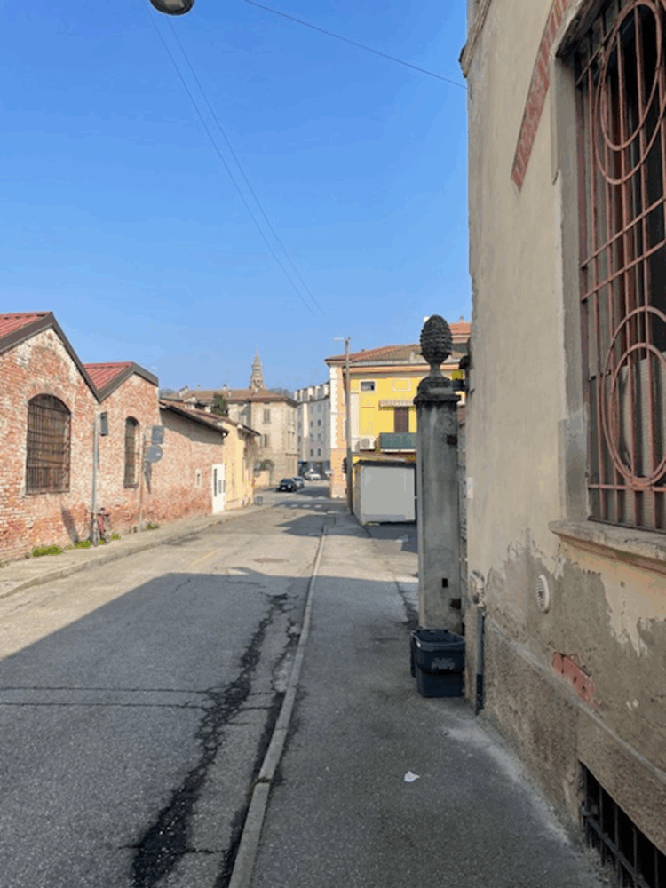 8 1773415885 gallery 750x1000