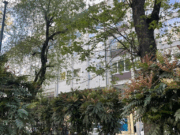 8 1774886565 gallery 180x135