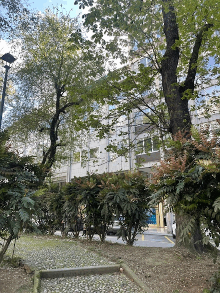 8 1774886565 gallery 750x1000