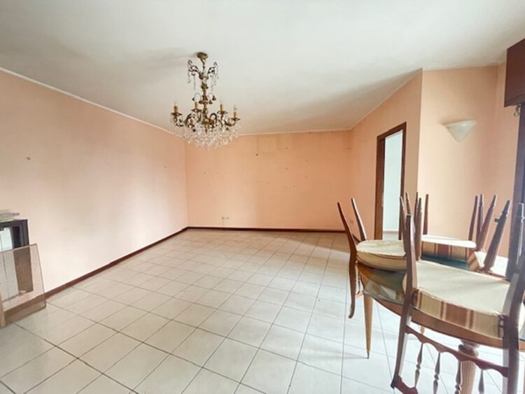 IMG_6545 1773736130 gallery 750x563