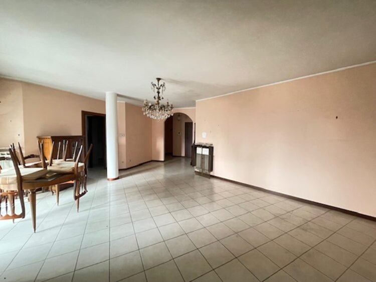 IMG_6547 1773736130 gallery 750x563