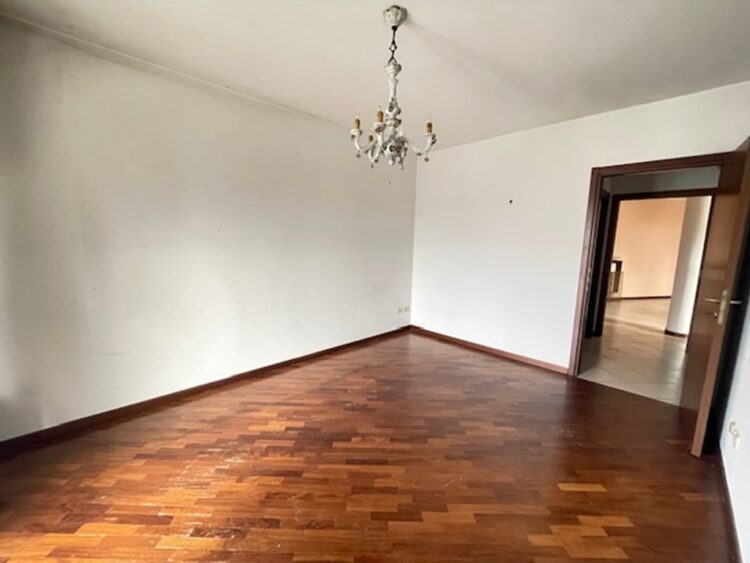 IMG_6557 1773736737 gallery 750x563