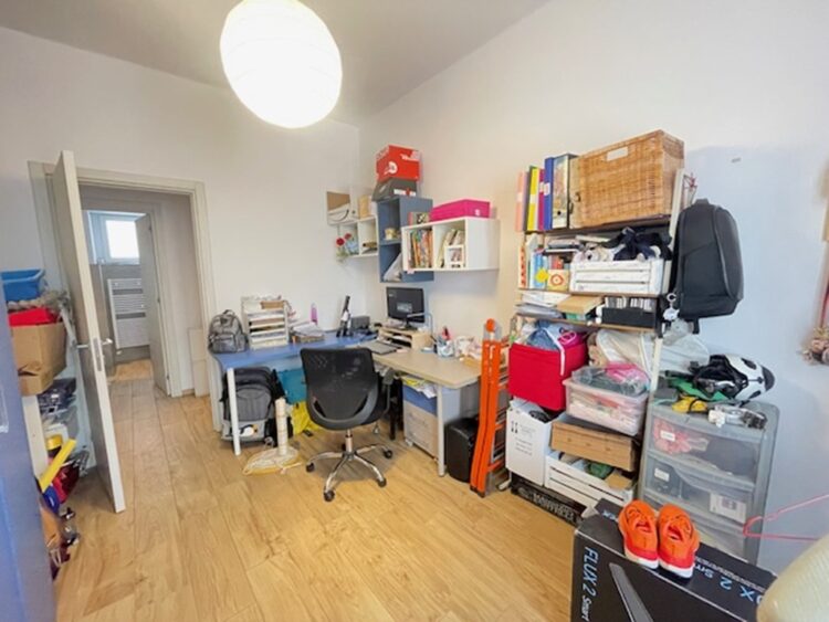 IMG_6692 1772697883 gallery 750x563