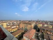 IMG_6702 1772697901 gallery 180x135