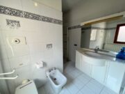 IMG_6914 1773416004 gallery 180x135