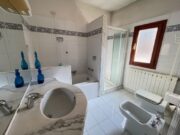 IMG_6915 1773416004 gallery 180x135