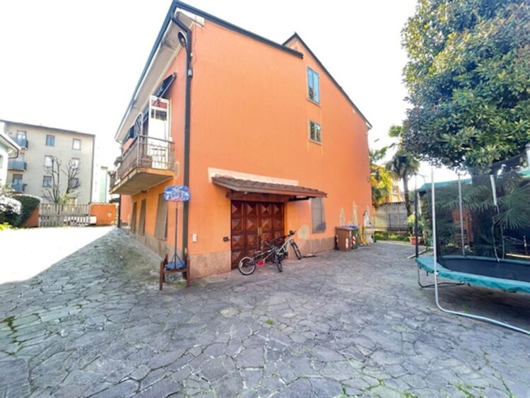 IMG_7024 1774856171 gallery 750x563