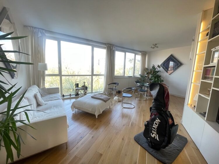 IMG_7252 1774886489 gallery 750x563