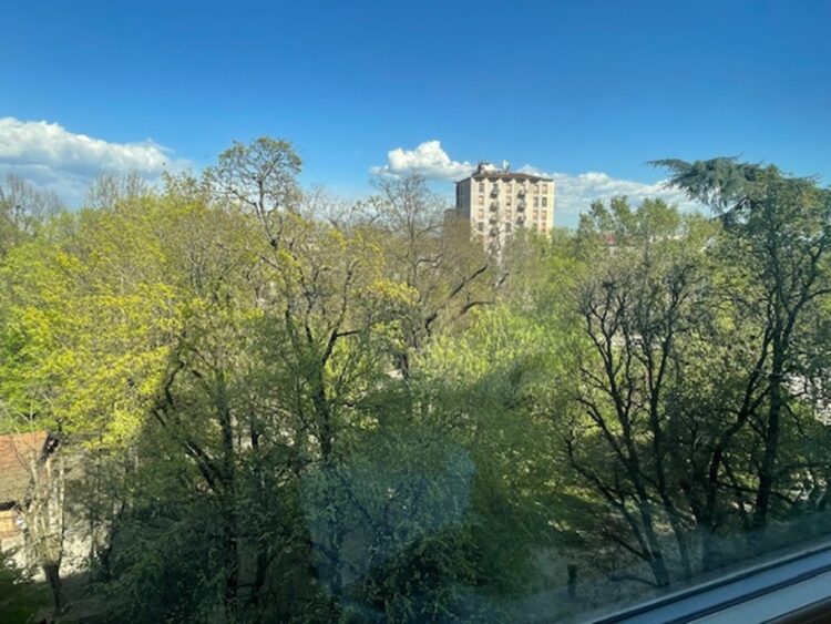 IMG_7256 1774886467 gallery 750x563