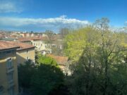 IMG_7257 1774886467 gallery 180x135