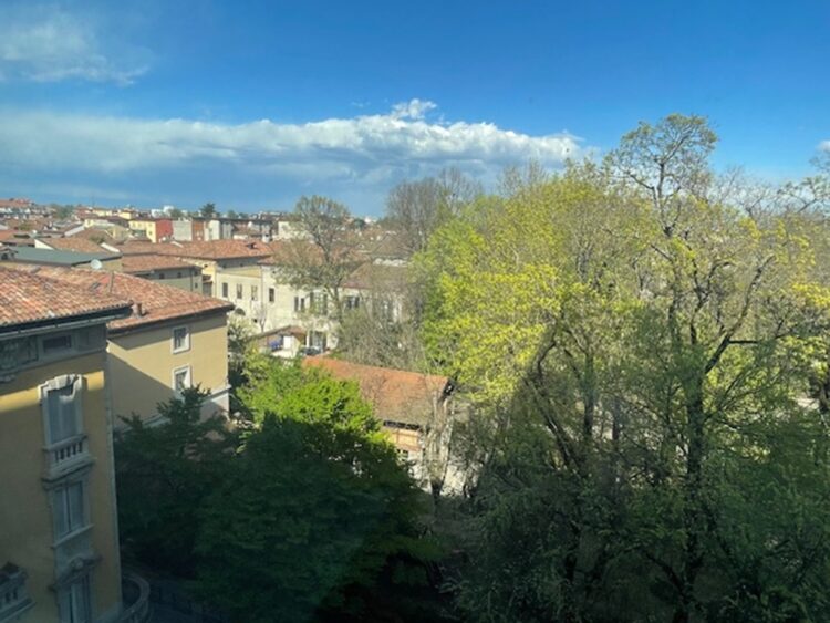 IMG_7257 1774886467 gallery 750x563