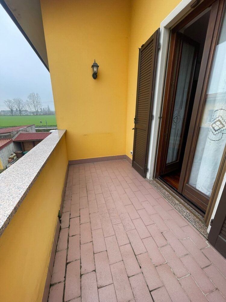 PHOTO 2026 03 03 13 45 54 1772809905 gallery 750x1000