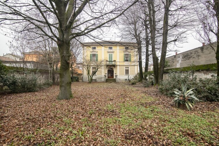 pano 2 1773762092 gallery 750x500