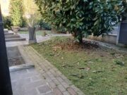 33855003 ffd8 4c96 909e 4c61be9402ad 1775204912 gallery 180x135