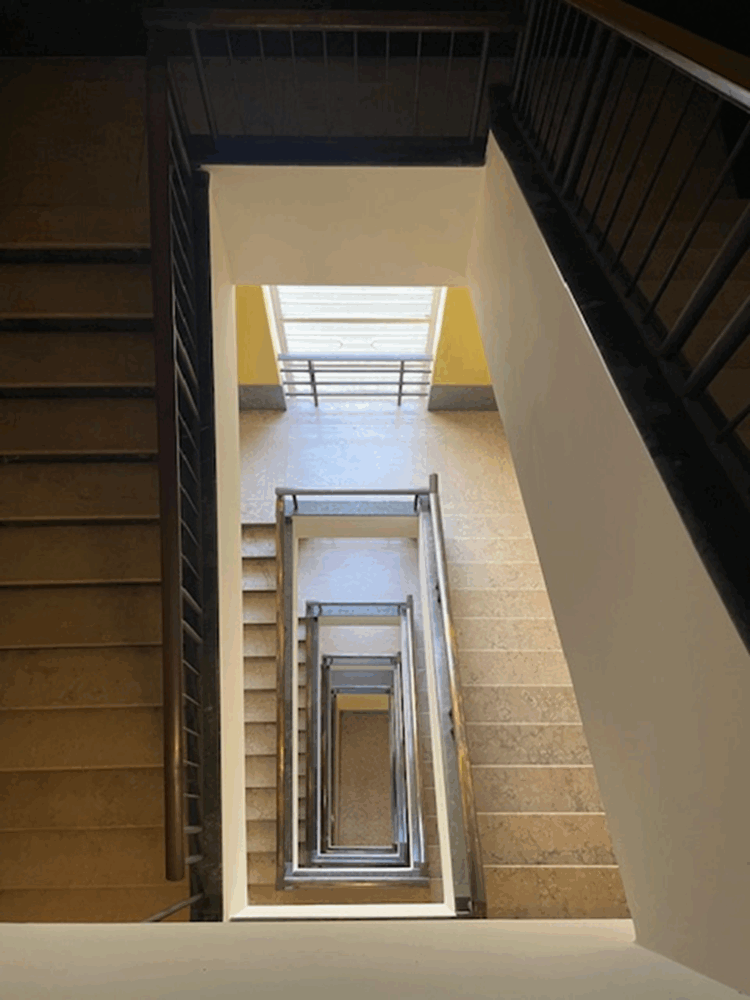 4 1775122269 gallery 750x1000