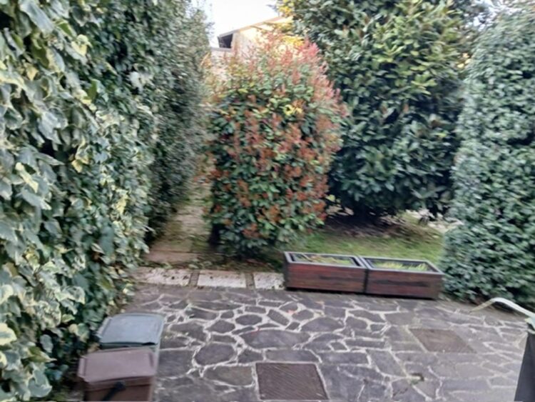 40c2191f bac7 43fb 819c 2f84e0f7fea7 1775204899 gallery 750x563