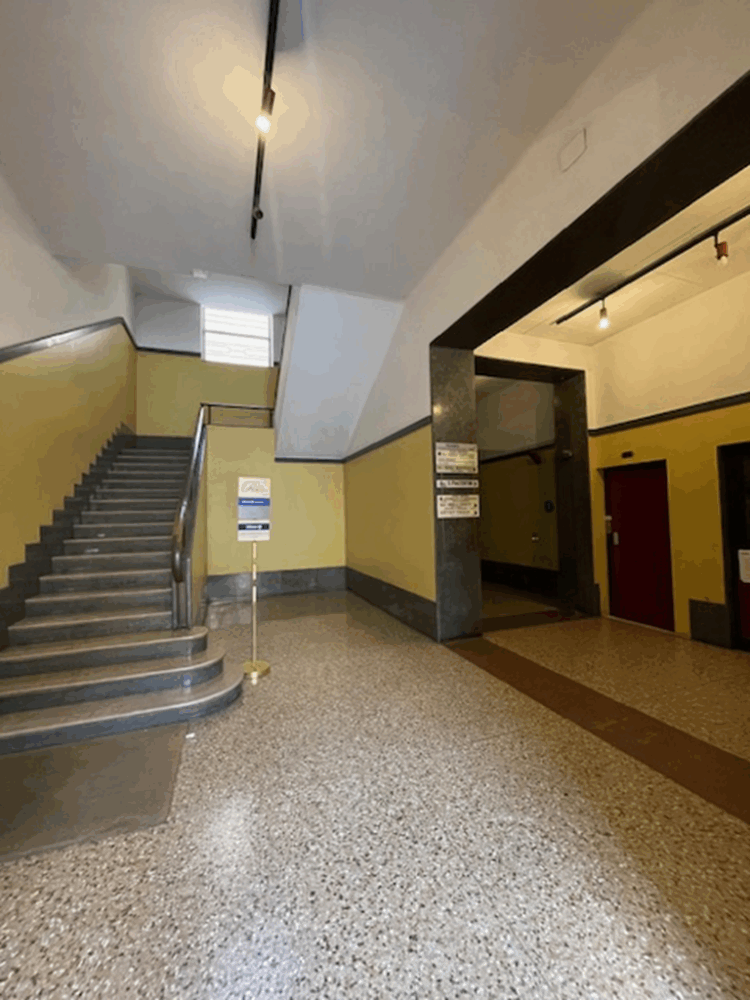 5 1775122269 gallery 750x1000