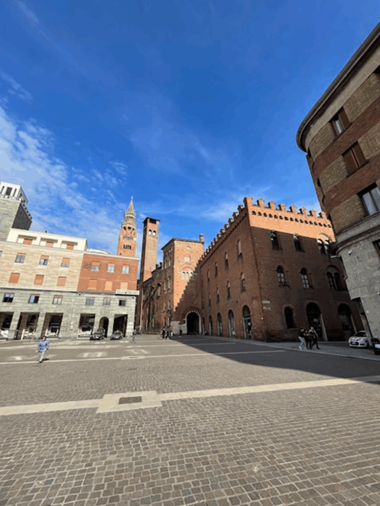 7 1775121963 gallery 750x1000