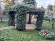 9c95e522 d624 4c93 9edb bef63aa1aeb8 1775204899 gallery 180x135