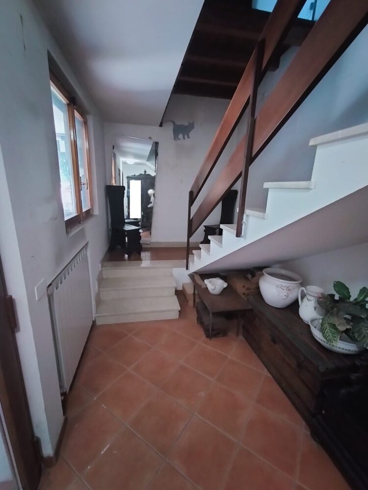 9cd22a21 0ee3 432e b99f 137d61588ad9 1776352691 gallery 750x1000