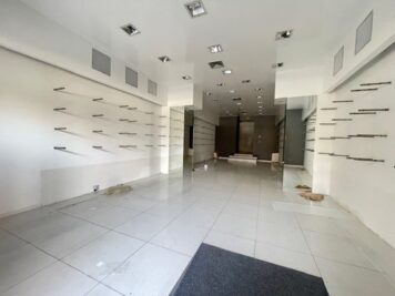 IMG_6935 1775123063 gallery 356x267