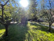 IMG_7298 1775053226 gallery 180x135