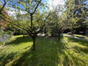 IMG_7299 1775053226 gallery 180x135