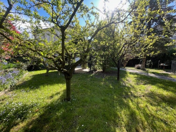 IMG_7299 1775053226 gallery 750x563