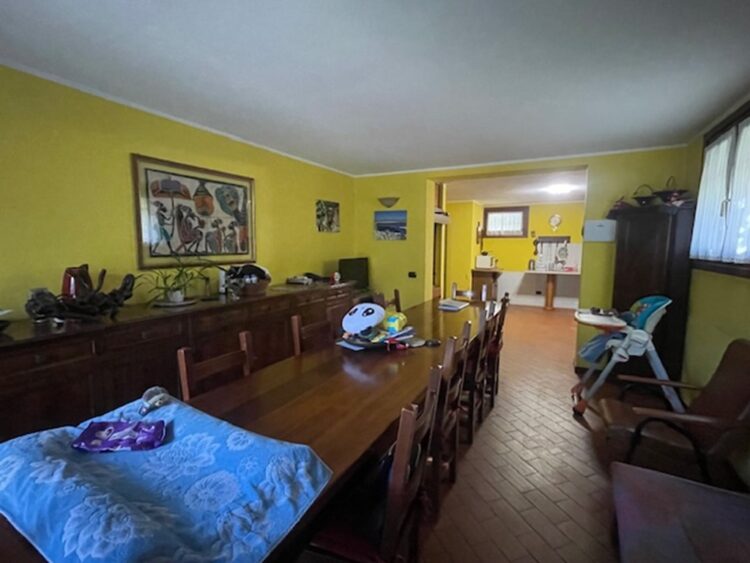 IMG_7347 1775053489 gallery 750x563