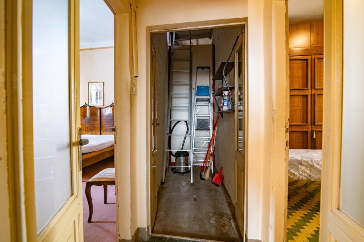 _ARI8238 1775813802 gallery 750x500