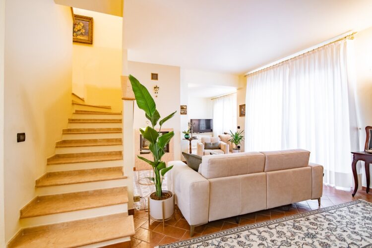 _ARI8536 1775726618 gallery 750x500