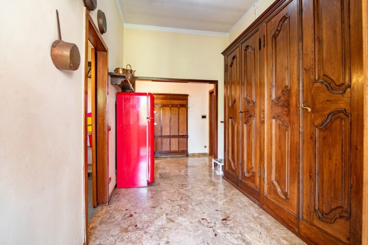 _ARI9051 1777017301 gallery 750x500