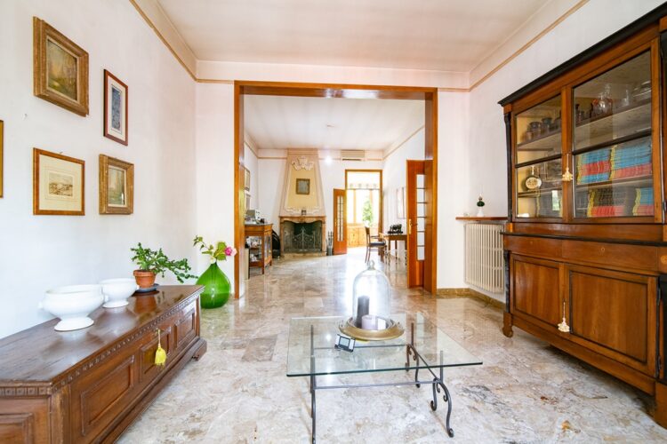 _ARI9066 1777017316 gallery 750x500