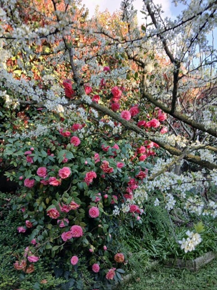 b0a62ef5 c771 427e be1e 513a3cead3fc 1775204912 gallery 750x1000