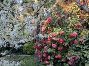 efdcae97 de01 4c10 9c66 8eb03ce0cc26 1775204912 gallery 180x135