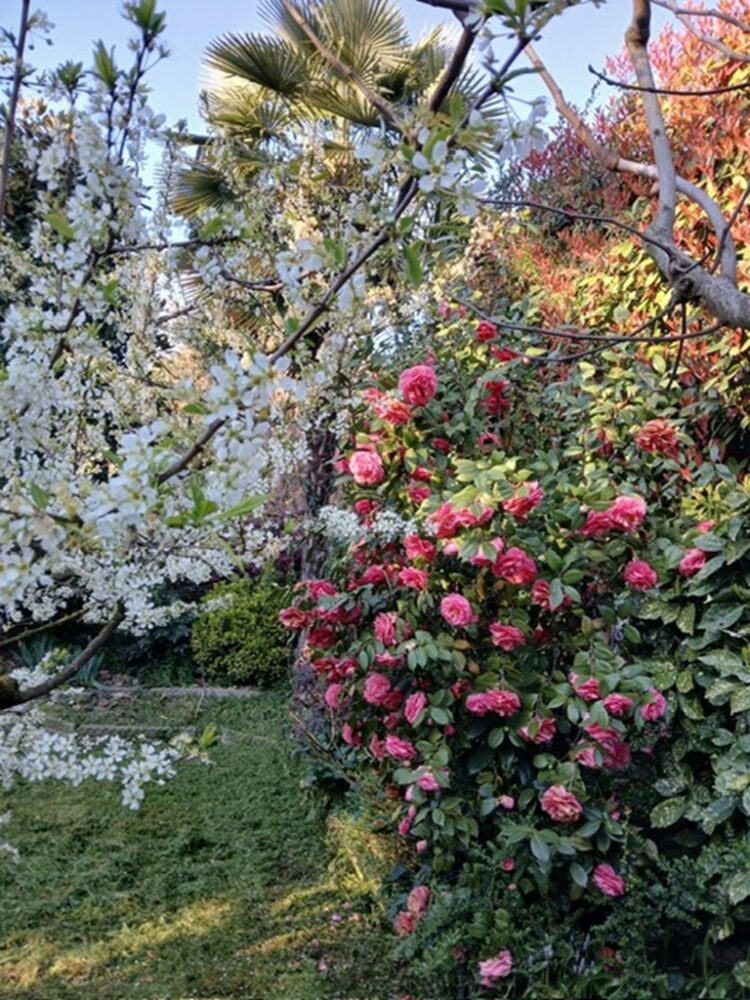 efdcae97 de01 4c10 9c66 8eb03ce0cc26 1775204912 gallery 750x1000