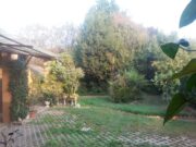 241209da a970 4939 bd92 bd59c835a309 1778145972 gallery 180x135