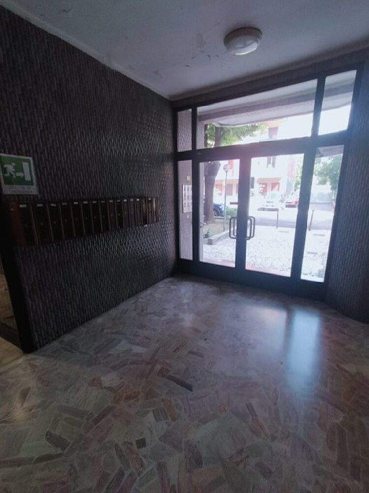 52de460e 8e1f 4732 9887 e4d68f78871d 1784122397 gallery 750x1000