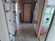 8d3a43b9 2dc2 46dd 8f85 6a63b10b9229 1784122397 gallery 180x135