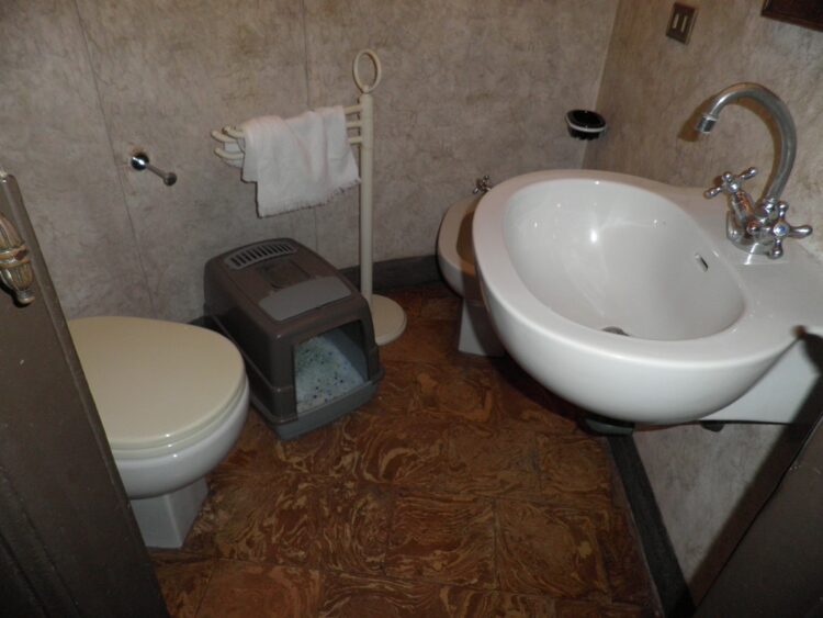 085 1792481751 gallery 750x563