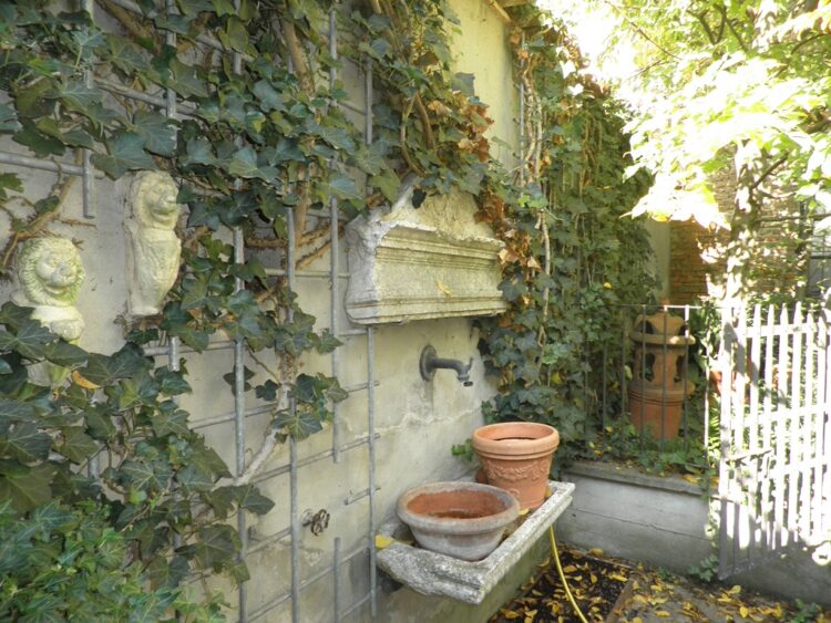 097 1792481751 gallery 750x563
